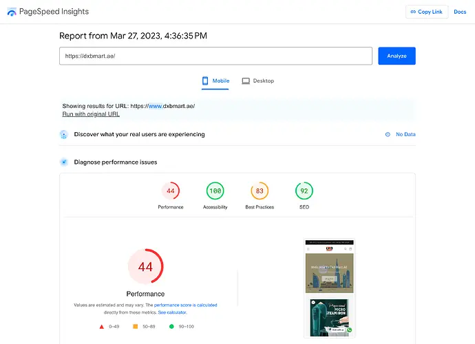 PageSpeed Insights performance report