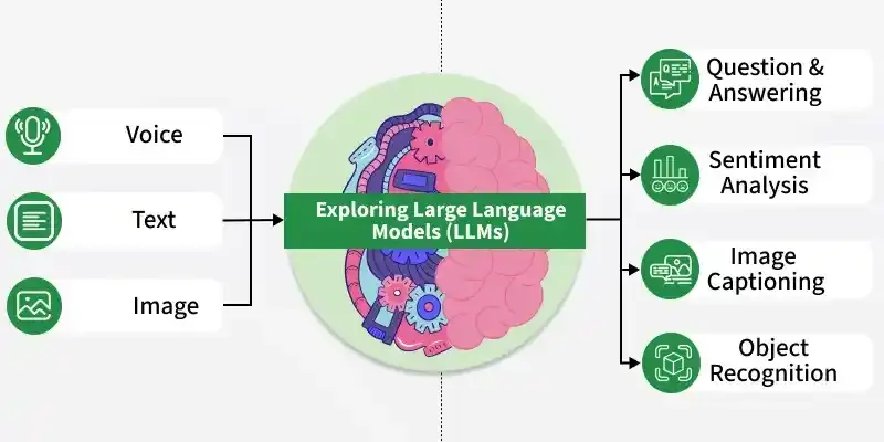 Large language model inputs and applications