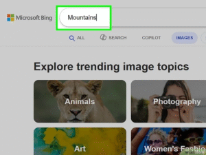 What Is Bing Visual Search and How Does It Work? | ResultFirst